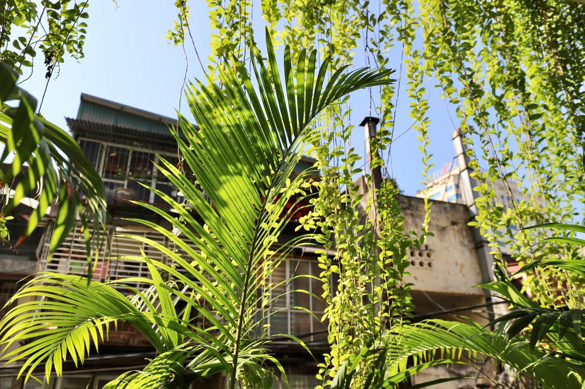 Apartament The Garden House Hanoi Zewnętrze zdjęcie