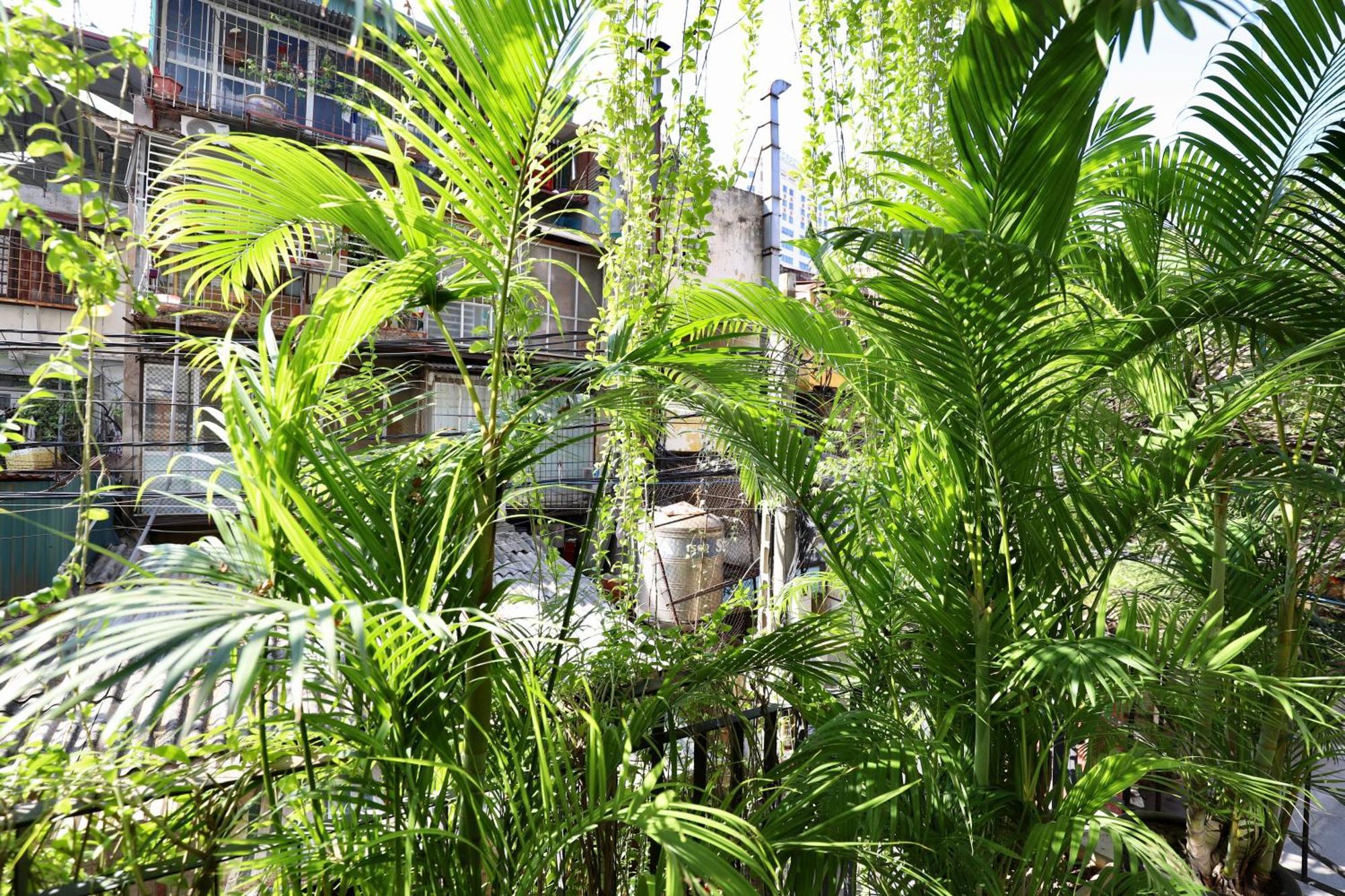 Apartament The Garden House Hanoi Zewnętrze zdjęcie